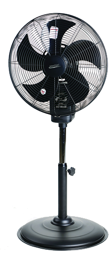DCF-3D450